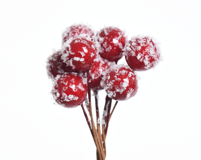 Kaemingk Bundle of Snow Berries 8 per box