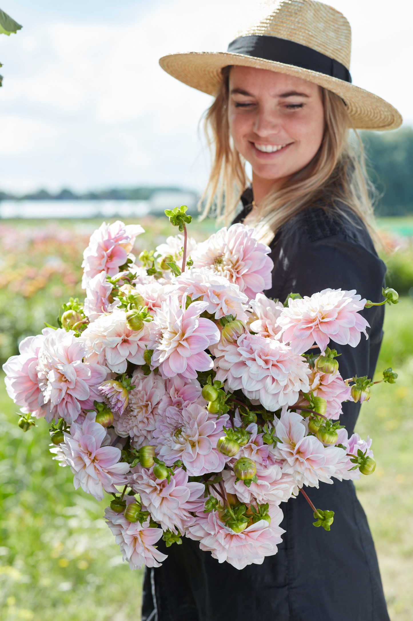 Dahlia Sweet Nathalie 3ltr