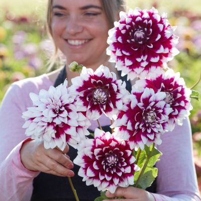 Dahlia Louis Walcher 2ltr