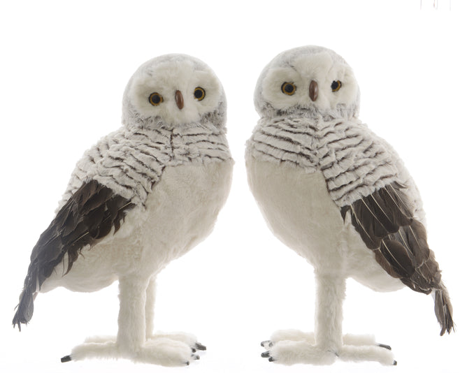 Standing Owl