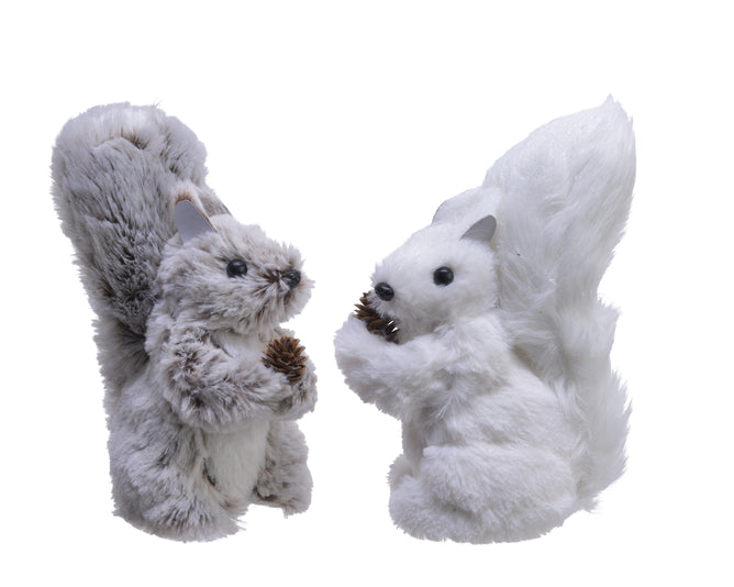 Fluffy Squirrel 2