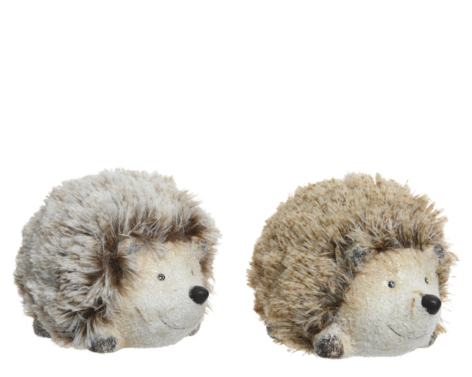 Hedgehogs