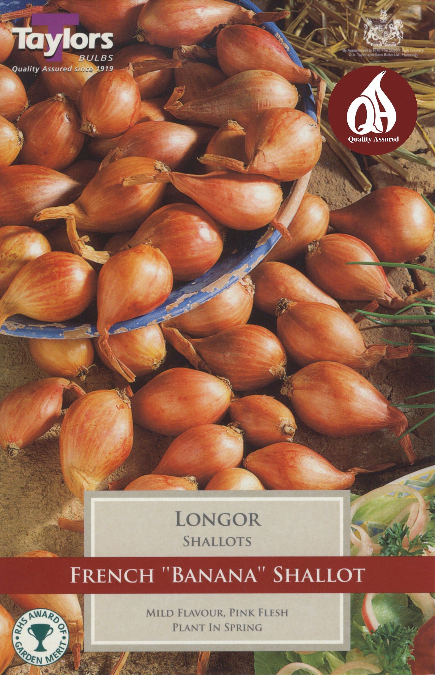 Longor Shallots