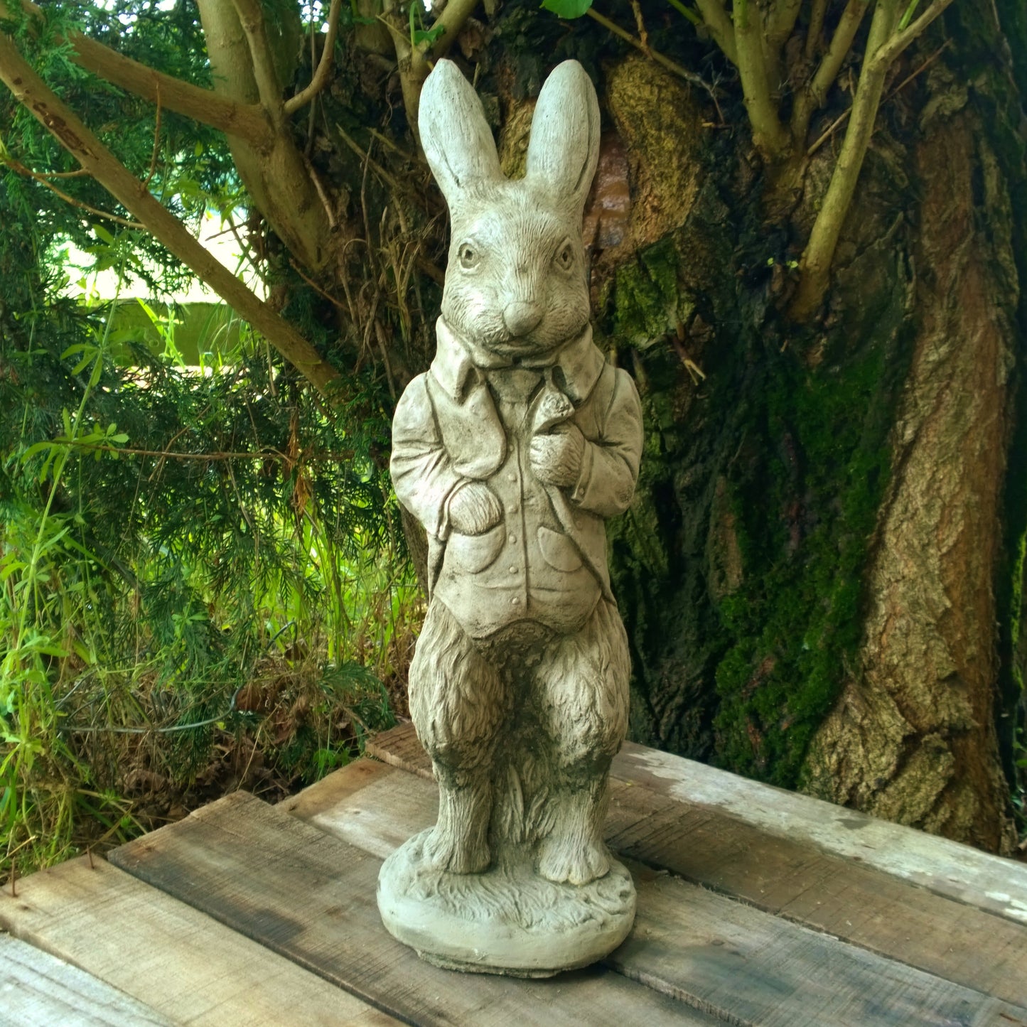 Peter Rabbit