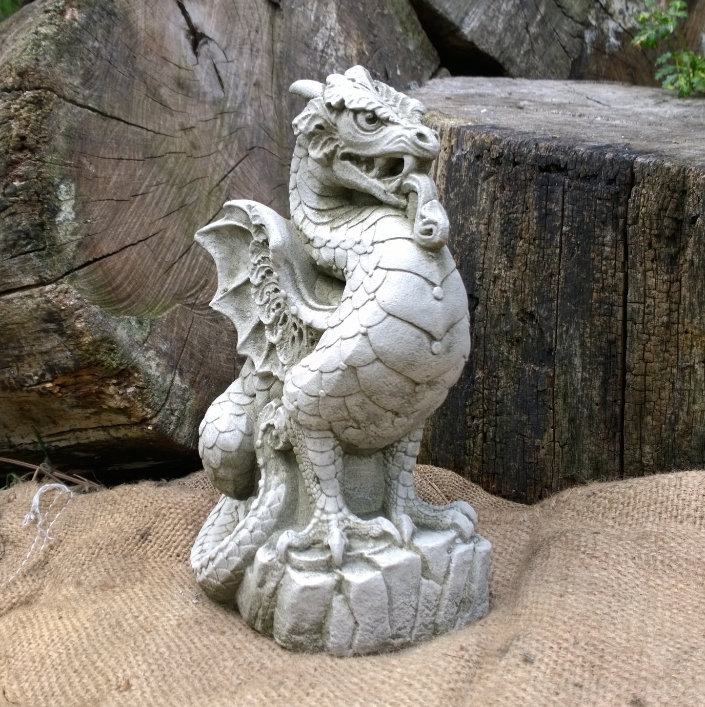Scaly Dragon