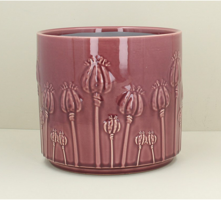 Indoor Plant Pots