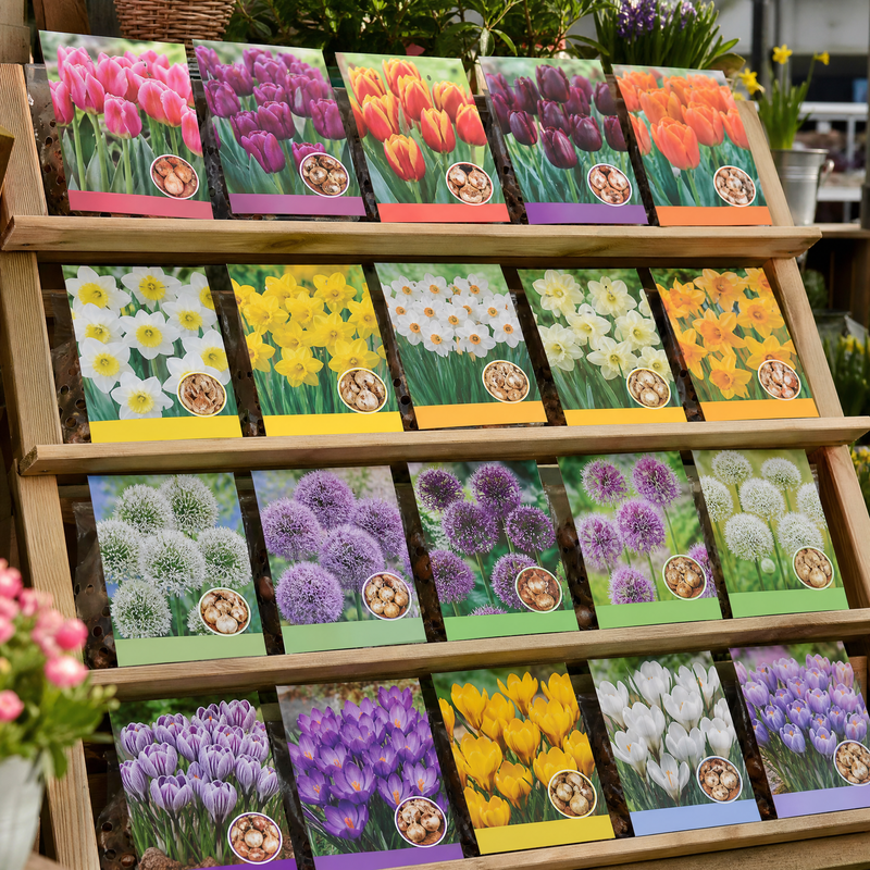 Taylors Bulbs Pre Packs