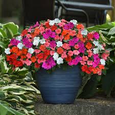 Garden Sundries