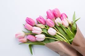 Cut Flowers