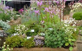 Alpines