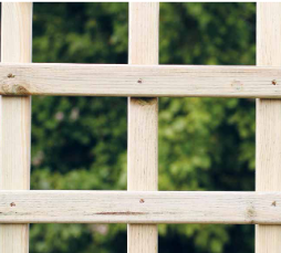 Trellis