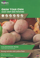 Caledonian Rose Seed Potatoes