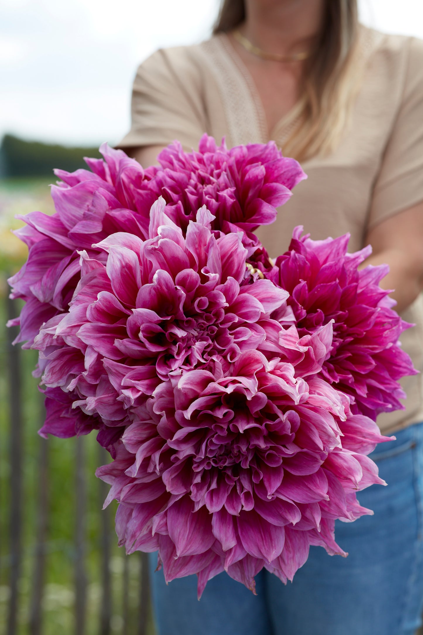 Dahlia Emory Paul