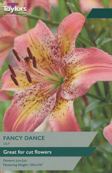 Lily Fancy Dance