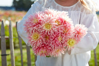Dahlia Just Married