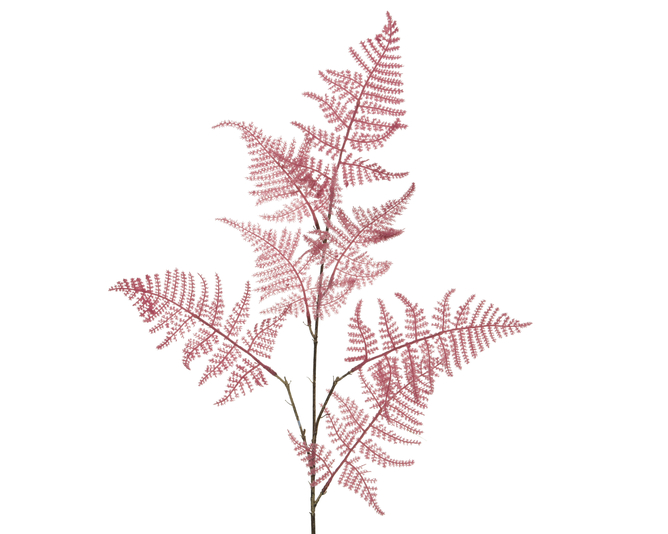 Kaemingk Asparagus Fern Plastic Flock Pink