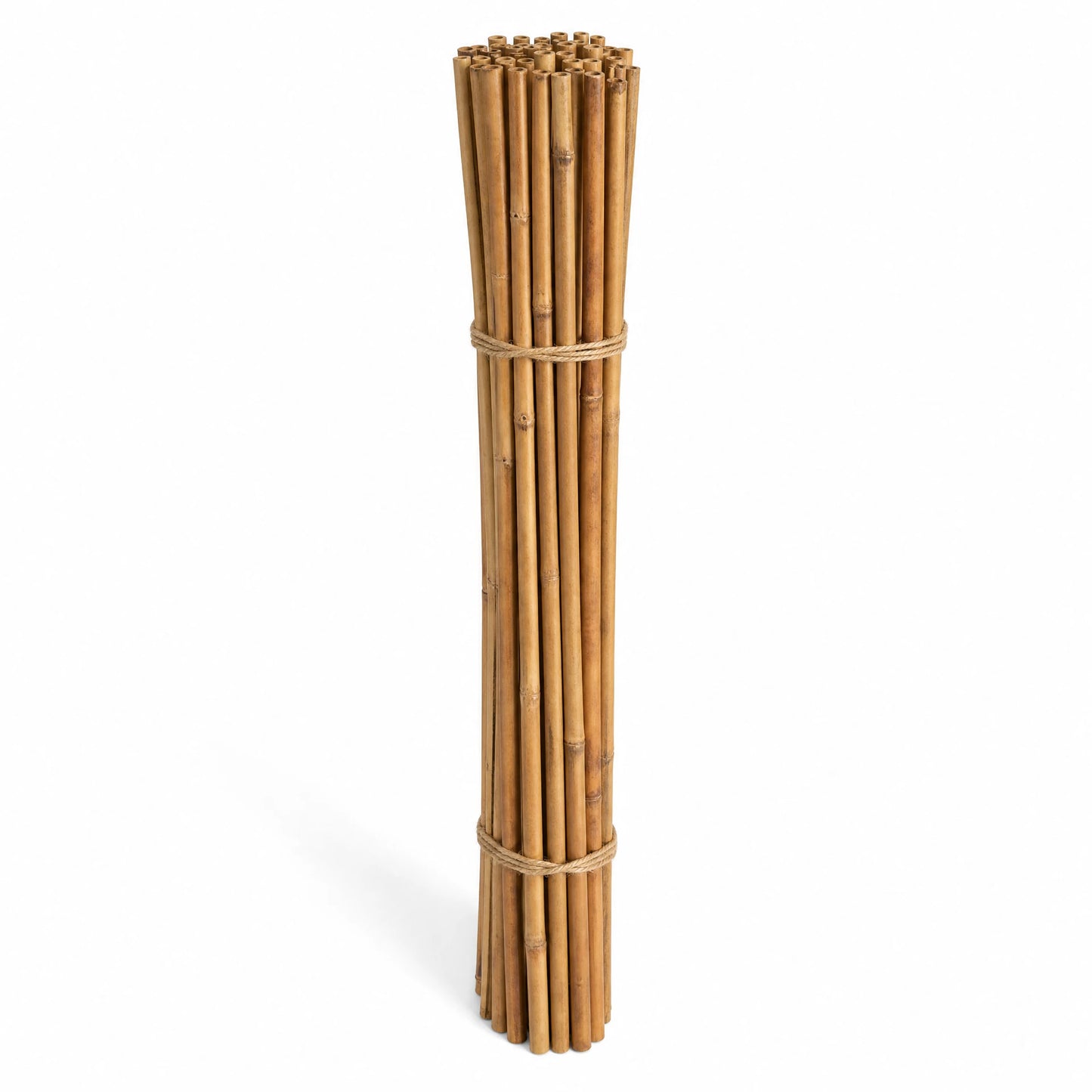 Pack of 4ft bamboo canes for staking and plant support, natural garden bamboo stakes