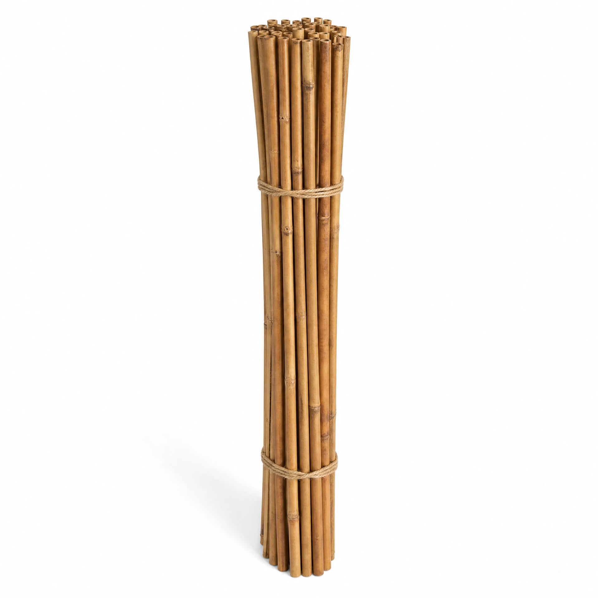 Pack of 4ft bamboo canes for staking and plant support, natural garden bamboo stakes