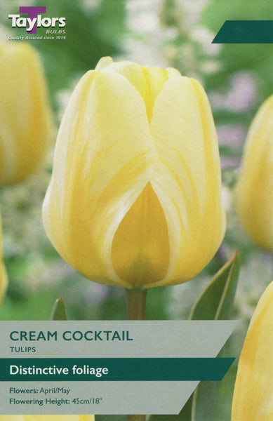 Tulip Cream Cocktail
