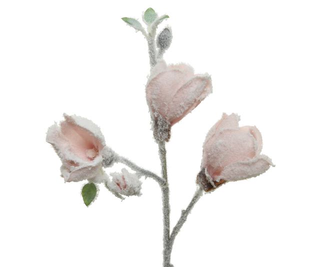 Kaemingk Magnolia on stem with snow