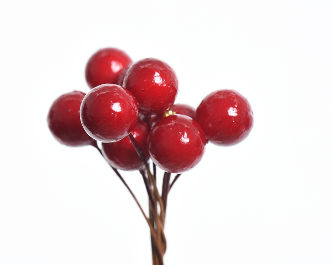 Kaemingk Bundle of Berries 8 per box