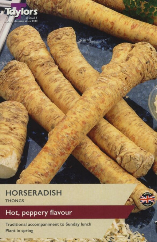 Horseradish