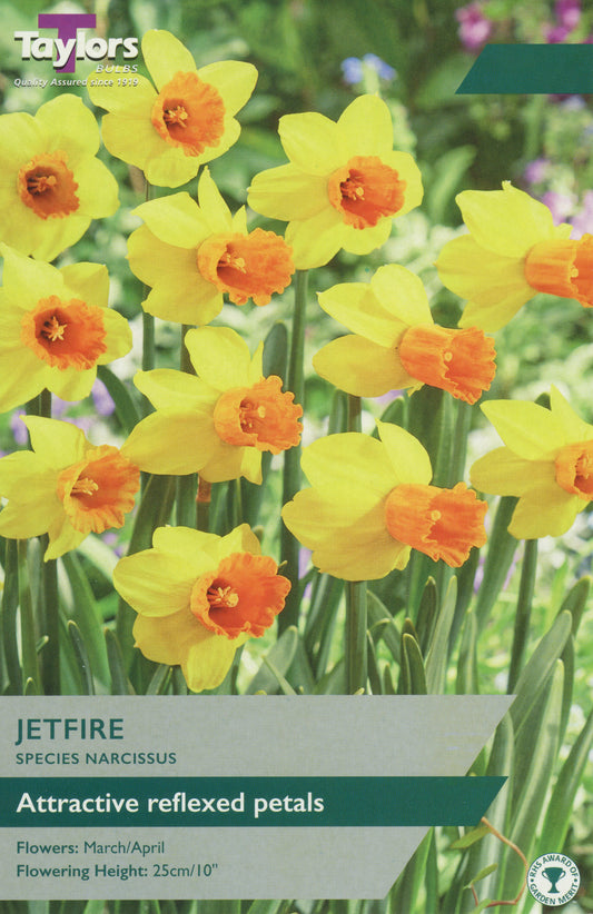 Narcissus Jetfire