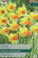 Narcissus Jetfire