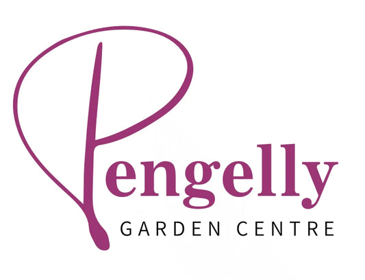 Pengelly Garden Centre placeholder product image