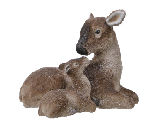 Deer With Baby