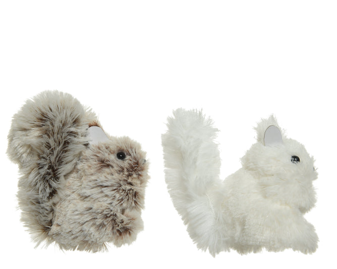 Fluffy Squirrel