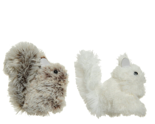 Fluffy Squirrel