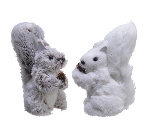 Fluffy Squirrel 2