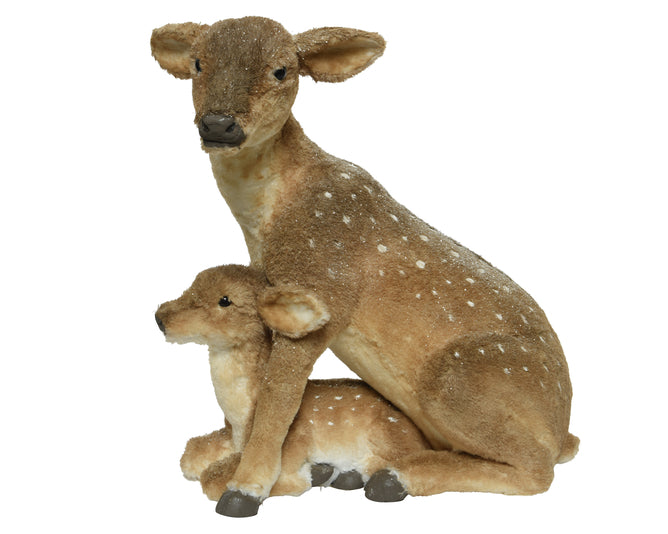 Deer With Fawn
