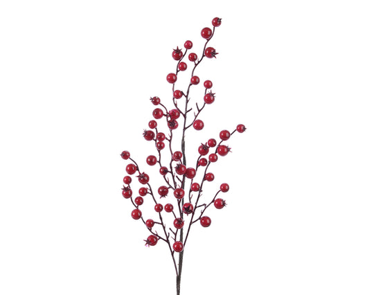 Spray Of Red Berries