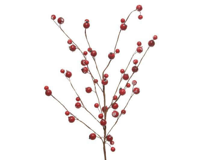 Spray With Snow Berries