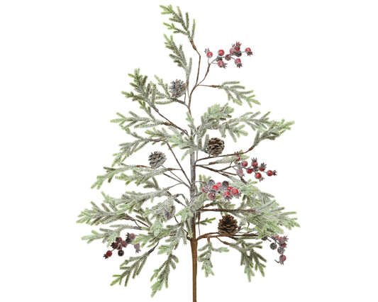 Snowy Branch With Berries