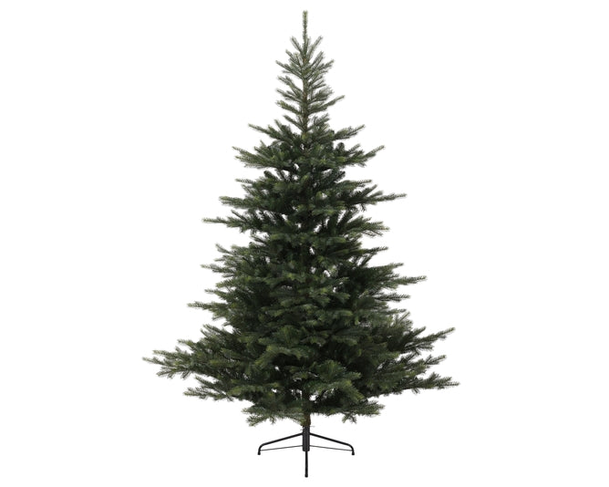 Grandis Fir 180cm