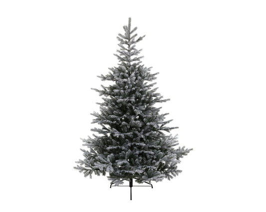 Grandis Fir Snowy 180cm