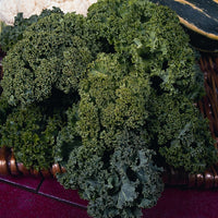 Kings Seeds Kale Dwarf Green Curled