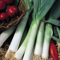 Kings Seeds Leek Jolant