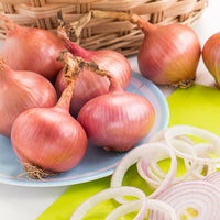 Kings Seeds Onion Isobel Rose