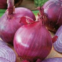 Kings Seeds Onion Red Brunswick