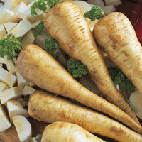 Kings Seeds Parsnip Tender and True