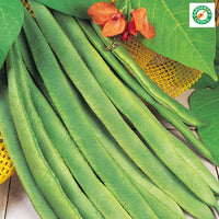 Kings Seeds Runner Bean Enorma