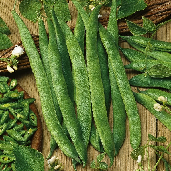 Kings Seeds Runner Bean White Lady