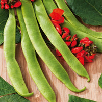 Kings Seeds Runner Bean Polestar