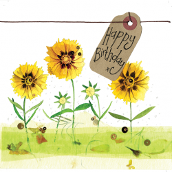 Coreopsis Birthday Card
