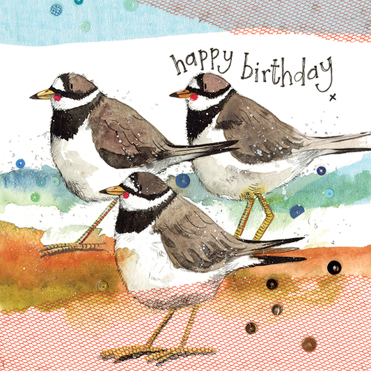 Ringed Plovers Birthday Card