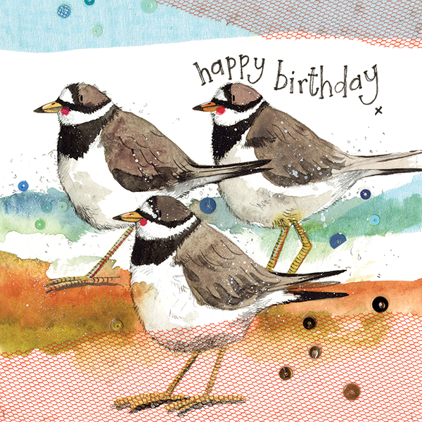 Ringed Plovers Birthday Card